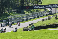 brands-hatch-photographs;brands-no-limits-trackday;cadwell-trackday-photographs;enduro-digital-images;event-digital-images;eventdigitalimages;no-limits-trackdays;peter-wileman-photography;racing-digital-images;trackday-digital-images;trackday-photos